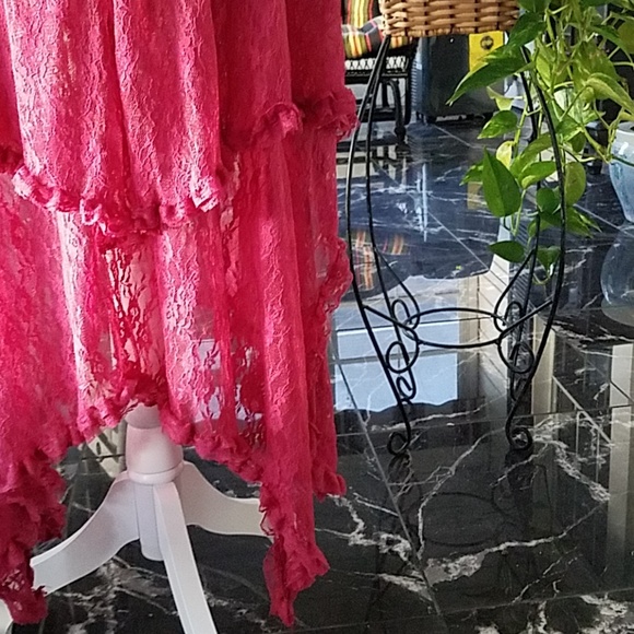 NWOT Lacy Rose Dress with Hankerchief Hem - Picture 3 of 5